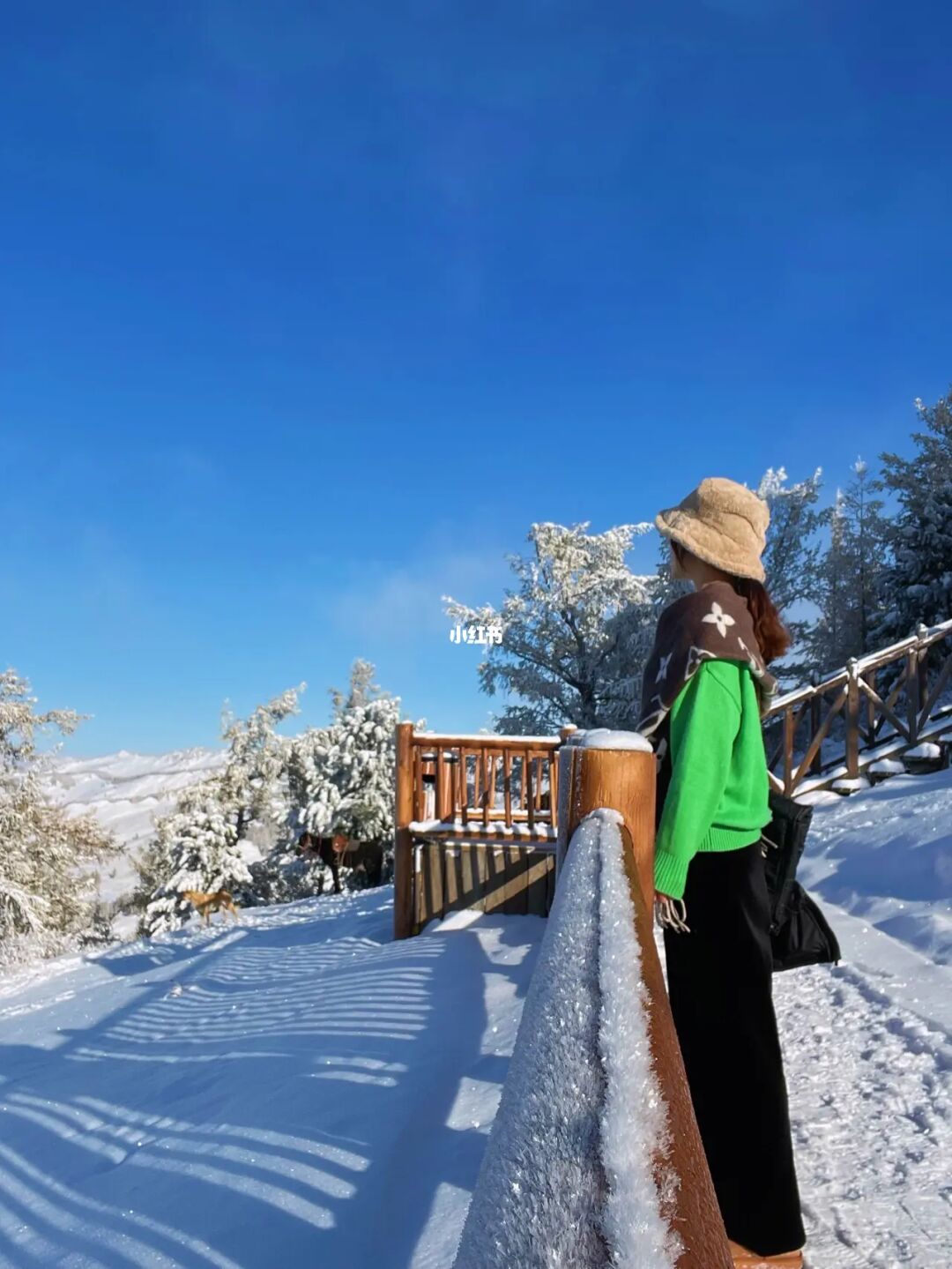 {百家樂}(10月7日中国太原卫星发射中心在什么海域使用长征11号)